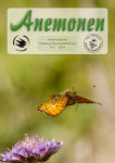 Anemonen_2024_1.pdf